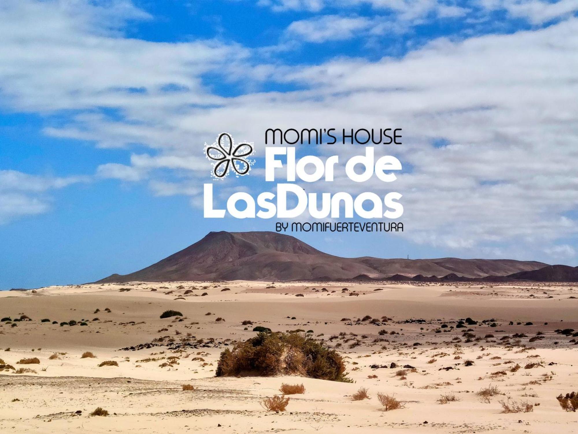 Flor De Las Dunas Pools Wifi Tennis Bikes For Free Corralejo Exterior foto